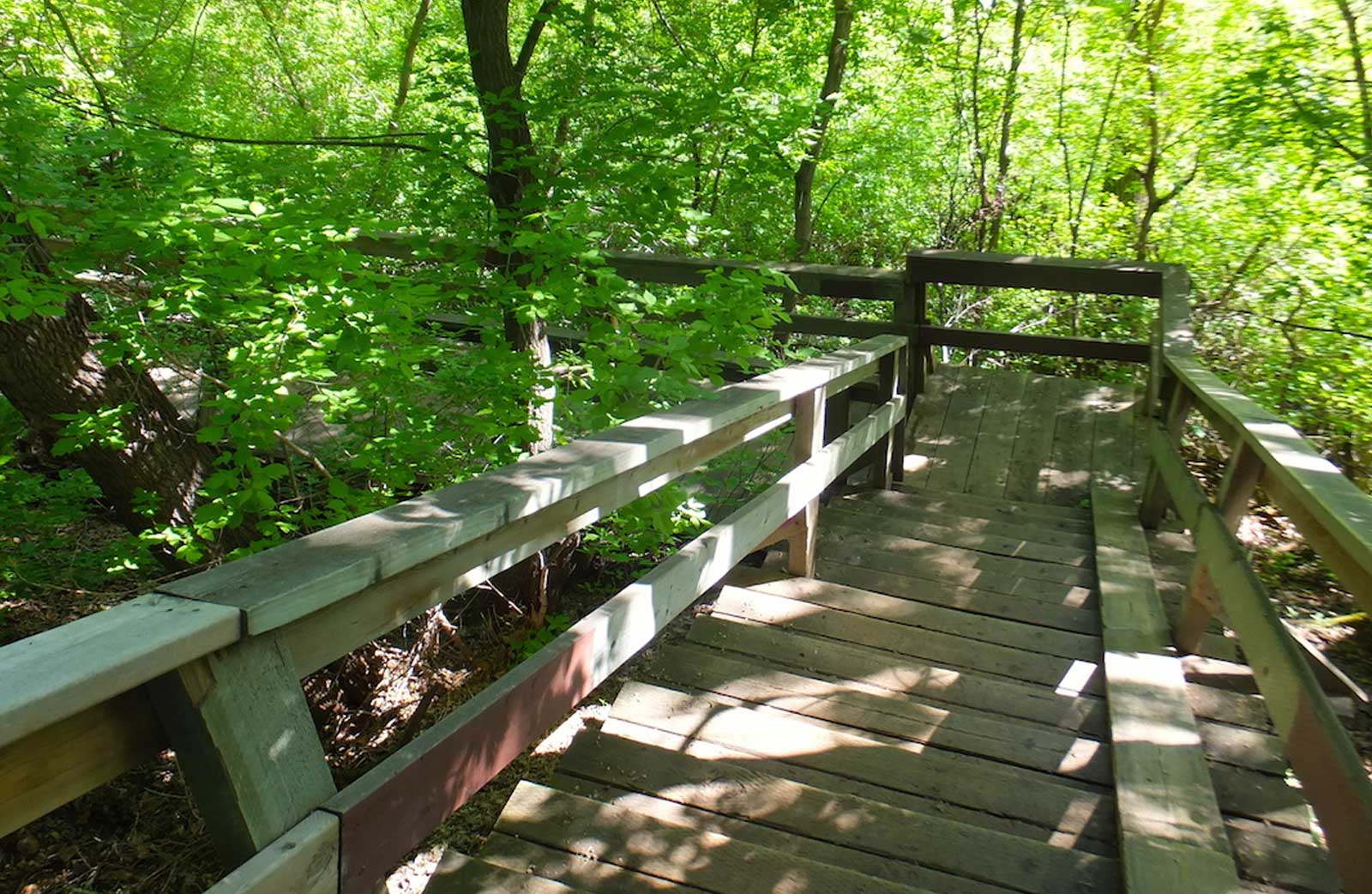 Mill Creek Ravine Walking Trails